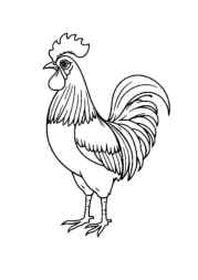 Farm Animals Coloring Book BC4F4A31 (12 Coloring Pages)