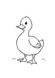 Farm Animals Coloring Book BC4F4A31 (12 Coloring Pages)