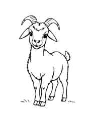 Farm Animals Coloring Book BC4F4A31 (12 Coloring Pages)