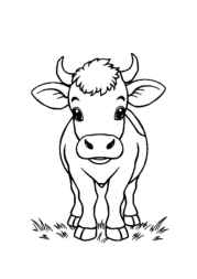 Farm Animals Coloring Book C2B866D3 (12 Coloring Pages)