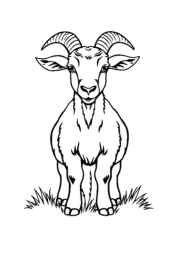 Farm Animals Coloring Book D0CB4DA6 (12 Coloring Pages)