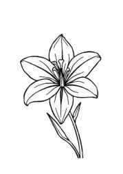 Flowers Coloring Book 3D7387C2 (12 Coloring Pages)
