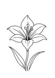 Flowers Coloring Book 9FB28FF5 (12 Coloring Pages)