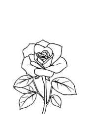 Flowers Coloring Book 9FB28FF5 (12 Coloring Pages)