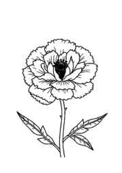 Flowers Coloring Book 9FB28FF5 (12 Coloring Pages)