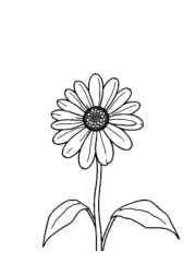 Flowers Coloring Book 9FB28FF5 (12 Coloring Pages)