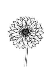 Flowers Coloring Book 9FB28FF5 (12 Coloring Pages)