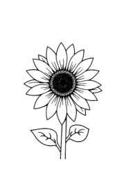 Flowers Coloring Book 9FB28FF5 (12 Coloring Pages)