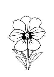 Flowers Coloring Book A9C86AC9 (12 Coloring Pages)