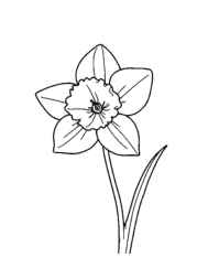 Flowers Coloring Book A9C86AC9 (12 Coloring Pages)