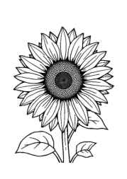 Flowers Coloring Book A9C86AC9 (12 Coloring Pages)