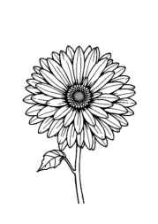 Flowers Coloring Book A9C86AC9 (12 Coloring Pages)