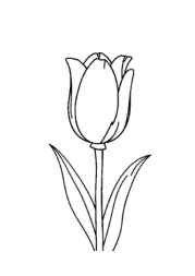 Flowers Coloring Book A9C86AC9 (12 Coloring Pages)