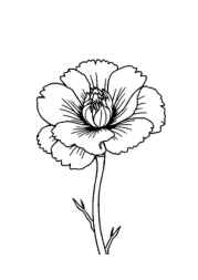 Flowers Coloring Book ADCD2EE1 (12 Coloring Pages)