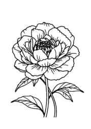 Flowers Coloring Book ADCD2EE1 (12 Coloring Pages)