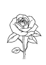 Flowers Coloring Book ADCD2EE1 (12 Coloring Pages)