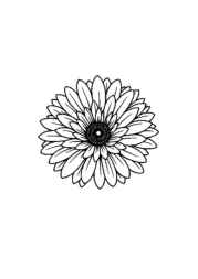 Flowers Coloring Book ADCD2EE1 (12 Coloring Pages)