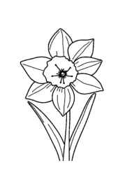 Flowers Coloring Book ADCD2EE1 (12 Coloring Pages)