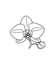 Flowers Coloring Book ADCD2EE1 (12 Coloring Pages)