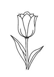 Flowers Coloring Book B67BA904 (12 Coloring Pages)