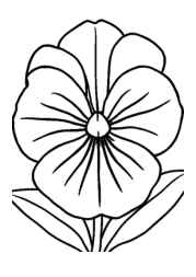 Flowers Coloring Book B67BA904 (12 Coloring Pages)