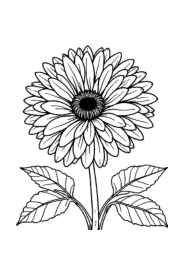 Flowers Coloring Book D047D166 (12 Coloring Pages)