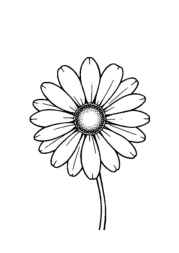 Flowers Coloring Book D047D166 (12 Coloring Pages)