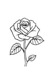 Flowers Coloring Book D047D166 (12 Coloring Pages)