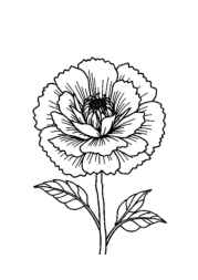 Flowers Coloring Book D047D166 (12 Coloring Pages)
