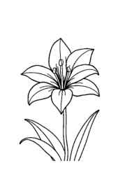 Flowers Coloring Book D047D166 (12 Coloring Pages)