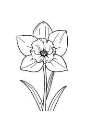 Flowers Coloring Book E7DEACAE (12 Coloring Pages)
