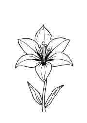 Flowers Coloring Book E7DEACAE (12 Coloring Pages)