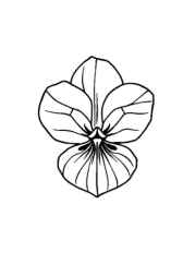 Flowers Coloring Book E7DEACAE (12 Coloring Pages)