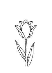 Flowers Coloring Book E7DEACAE (12 Coloring Pages)