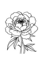 Flowers Coloring Book E7DEACAE (12 Coloring Pages)
