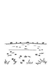 Football (Soccer) Coloring Book CB223211 (12 Coloring Pages)