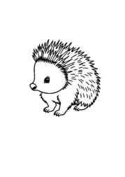 Forest Animals Coloring Book 1C09AC26 (12 Coloring Pages)