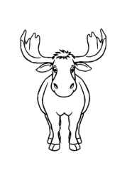 Forest Animals Coloring Book 1C09AC26 (12 Coloring Pages)