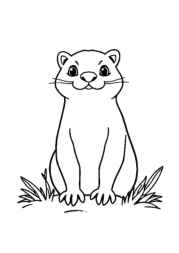 Forest Animals Coloring Book 1C09AC26 (12 Coloring Pages)