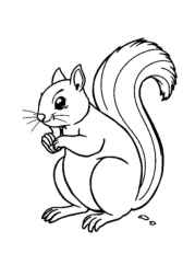 Forest Animals Coloring Book FA57C305 (12 Coloring Pages)