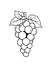 Fruits Coloring Book 01AF32FB (12 Coloring Pages)