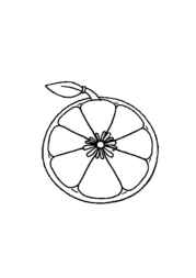 Fruits Coloring Book 01AF32FB (12 Coloring Pages)