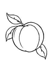 Fruits Coloring Book 01AF32FB (12 Coloring Pages)