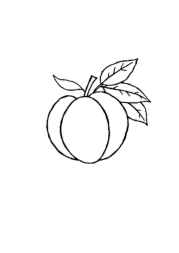 Fruits Coloring Book 0A0BE24B (12 Coloring Pages)