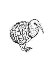 Fruits Coloring Book 0A0BE24B (12 Coloring Pages)