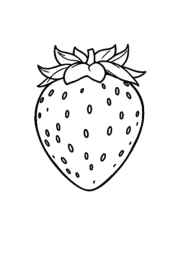 Fruits Coloring Book 0A0BE24B (12 Coloring Pages)