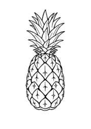 Fruits Coloring Book A9D2E458 (12 Coloring Pages)