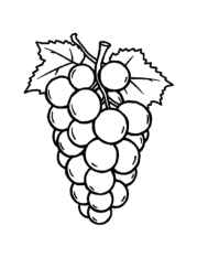 Fruits Coloring Book A9D2E458 (12 Coloring Pages)