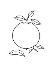 Fruits Coloring Book C0E50B23 (12 Coloring Pages)