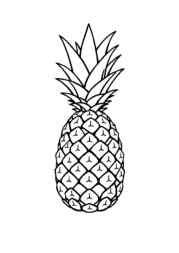 Fruits Coloring Book D074B9E9 (12 Coloring Pages)